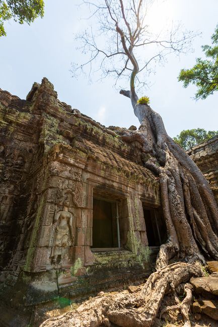 Ta Prohm Temple
