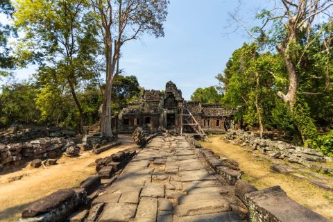 Wat Thmei Temple