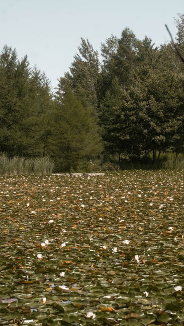 Botanical Garden