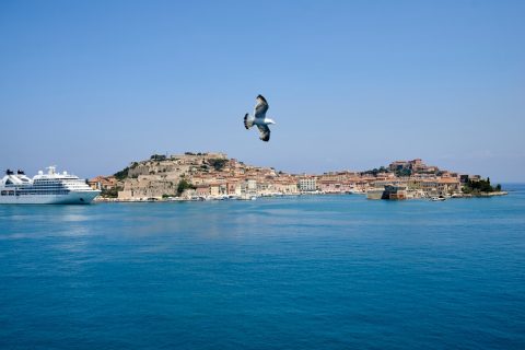 Harbour & Island Cruises