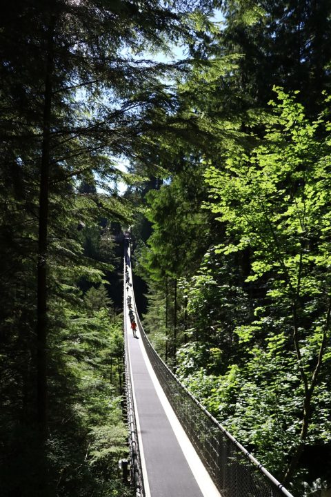 Capilano Suspension Bridge Walk