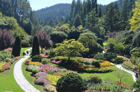 Victoria & Butchart Gardens