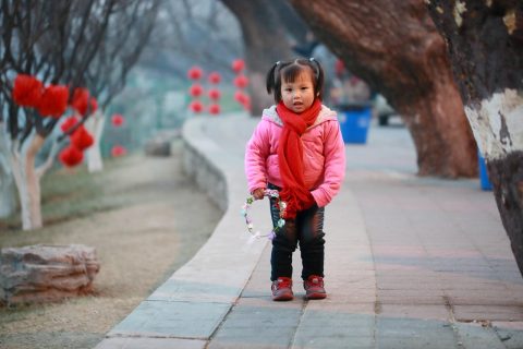 Temple Fair Parks