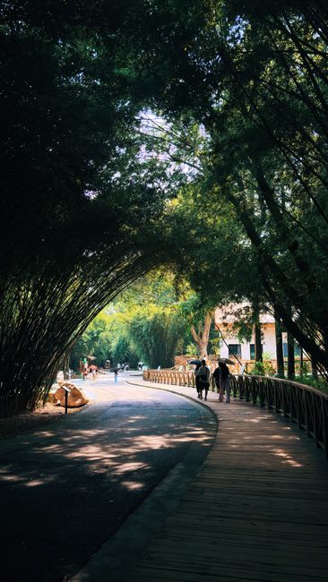 Broad and Narrow Alley Park (Kuanzhai Xiangzi)