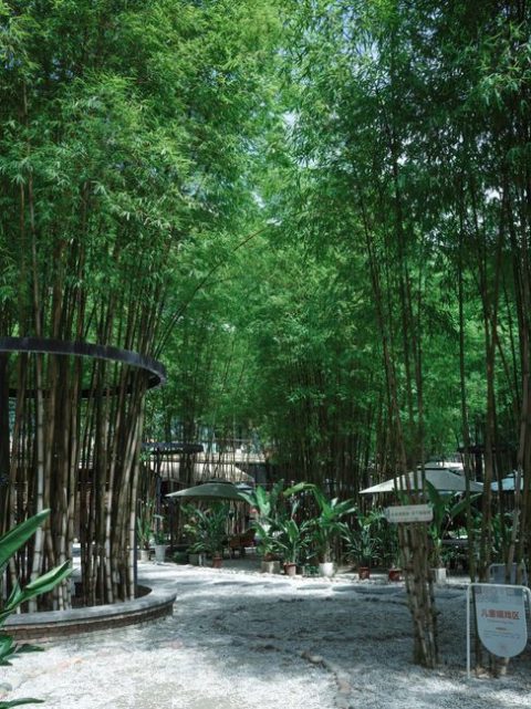 Chengdu Botanical Garden