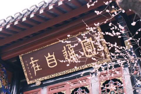Qingyang Palace