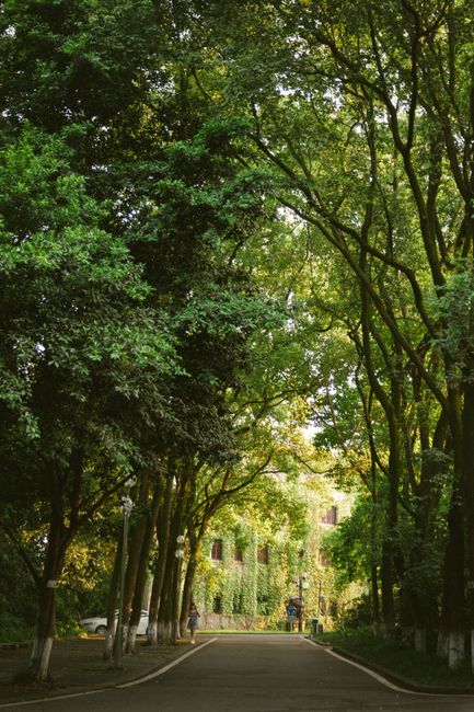 Jiangbei Wuling Forest Park