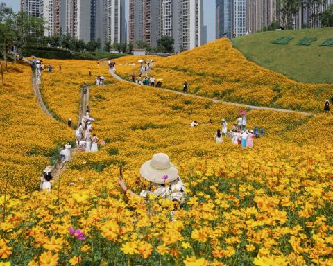 Nanshan Botanical Garden