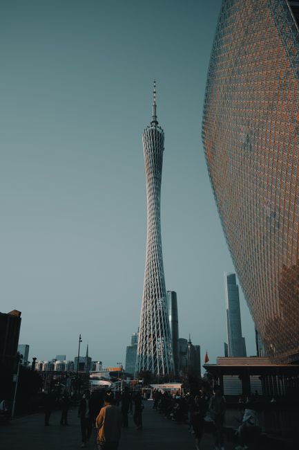 Guided City Walking Tours