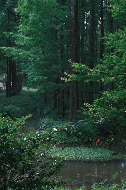 Botanical Garden