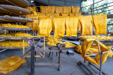 Silk Production Workshop