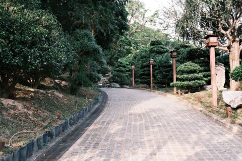 Hong Kong Botanic Gardens