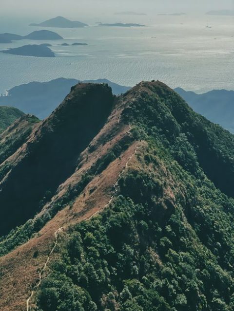 Peak Trail