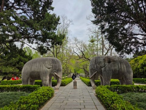 Ming Palace Ruins