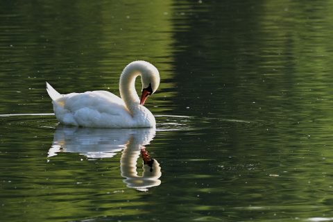 Mochou Lake Park