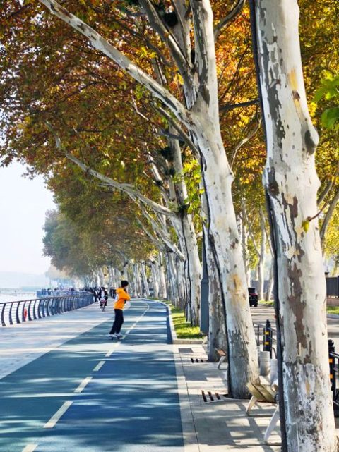 Hubu Lane