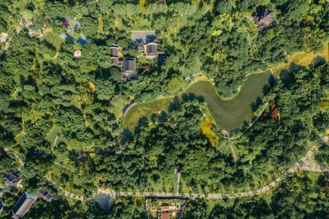 Moshan Botanical Garden