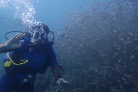 Scuba Diving & Snorkeling