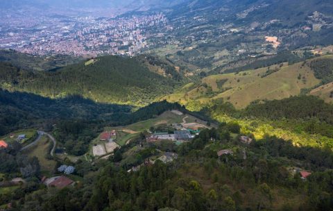 Coffee Region Day Trip