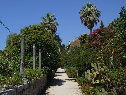Trsteno Arboretum