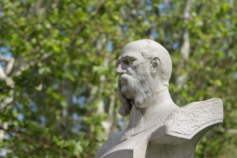 Bundek Park