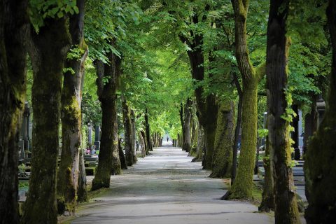 Walking Tours