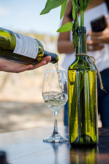 Wine Tasting Tours