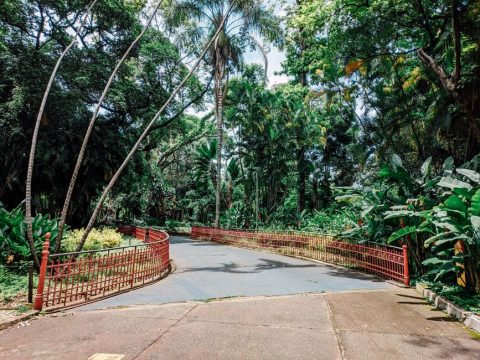 Jardín Botánico Nacional