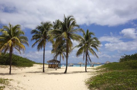 Playa del Este Beaches