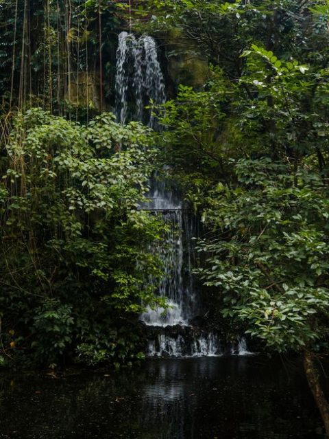 Soroa Waterfall & Gardens