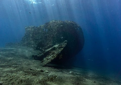Zenobia Wreck Diving Site