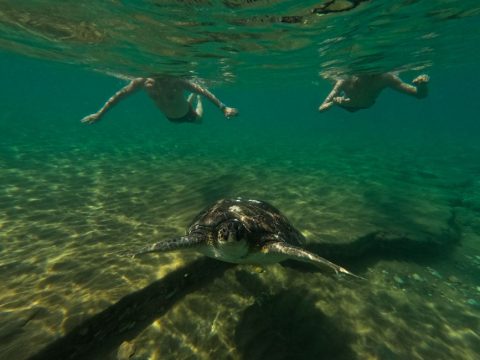 Lara Beach & Turtle Reserve