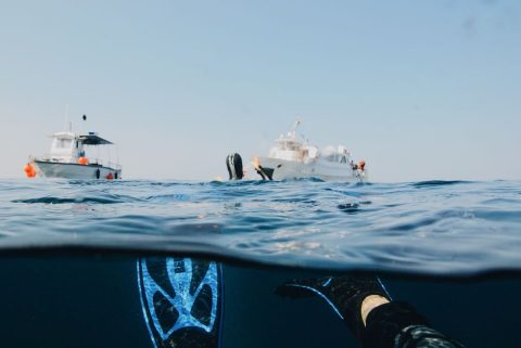 Scuba Diving & Snorkeling