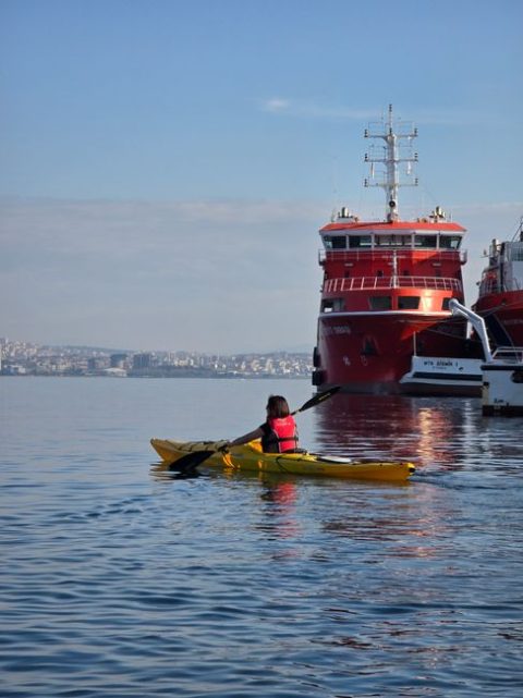 Sea Kayaking Adventures