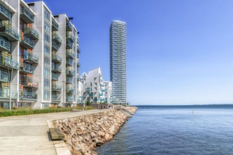 Harbor & Waterfront Tour
