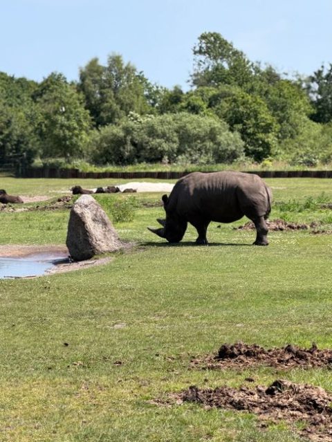 Givskud Zoo & Amusement Park