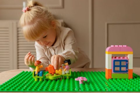 LEGO Building Workshops