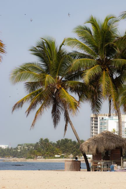 Juan Dolio Beach