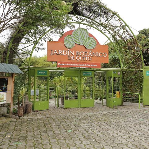 Botanical Garden of Quito (Jardín Botánico de Quito)