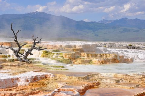 Papallacta Hot Springs (Termas de Papallacta)