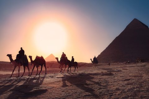 Sound & Light Show at the Pyramids