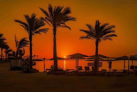 Beachfront Sunset Dining