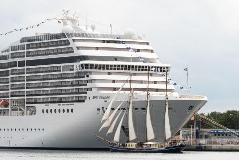Dolphin Watching Cruise