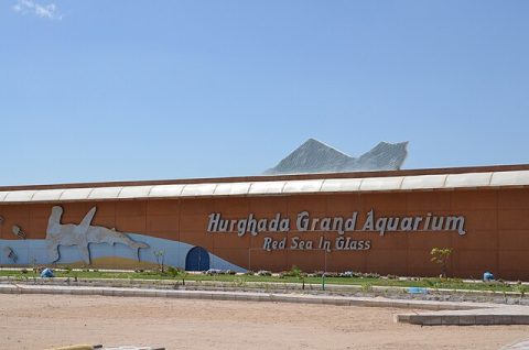 Hurghada Grand Aquarium