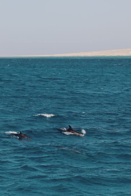 Hurghada Marine National Park