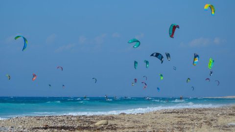 Kiteboarding & Windsurfing School