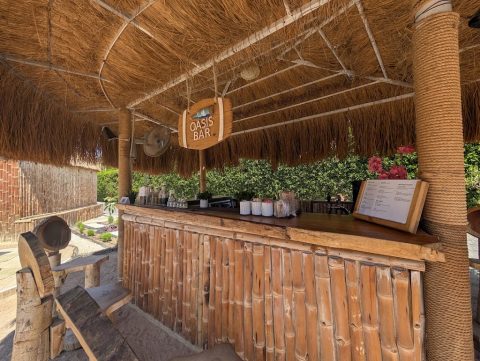 Oasis Bar