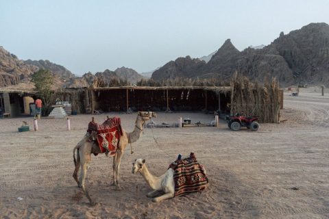 Desert Camping & Stargazing