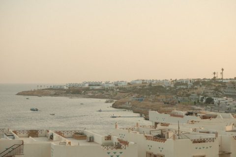 Fresh Seafood Restaurants