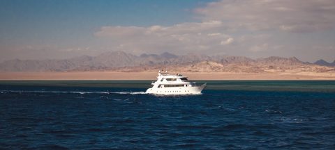 Parasailing & Water Towing